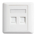 2 Port Network Faceplate